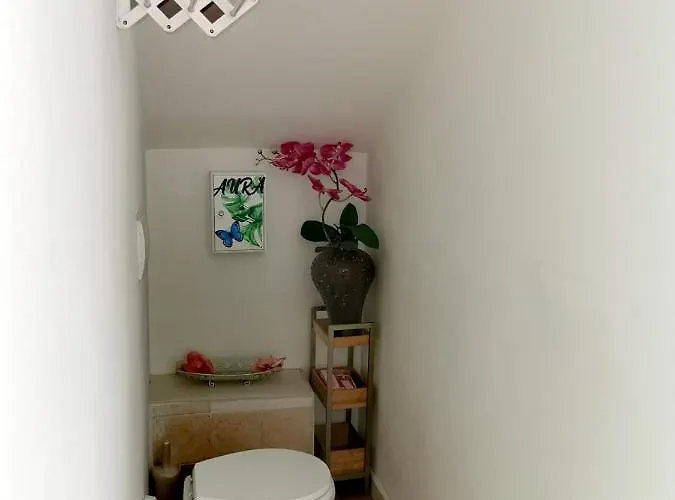 Aura Symphony * 科莫