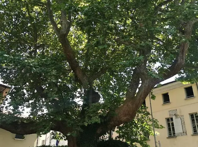 Aura Symphony Apartment *