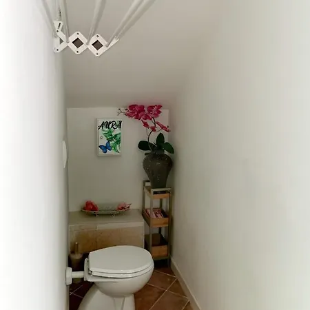 Aura Symphony * Como